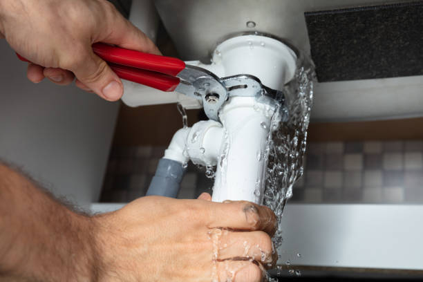 Best Local water damage restoration  in Mount Rainier, MD