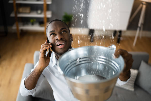 Best Carpet water damage restoration  in Mount Rainier, MD