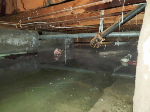  Mount Rainier, MD Water damage restoration Pros