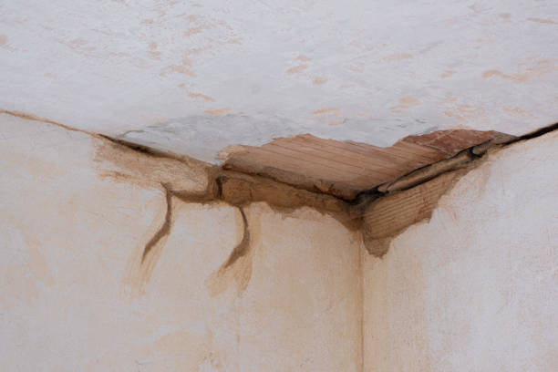 Best Emergency water damage restoration  in Mount Rainier, MD
