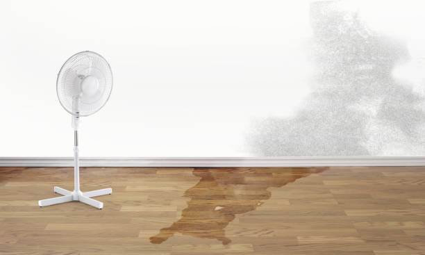Best 24-hour water damage restoration  in Mount Rainier, MD