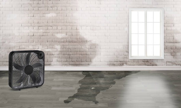 Best Fire Damage Restoration  in Mount Rainier, MD