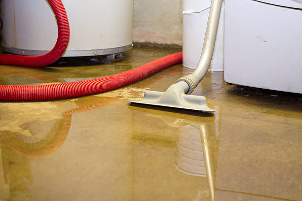 Best Sewage cleanup and water damage restoration  in Mount Rainier, MD