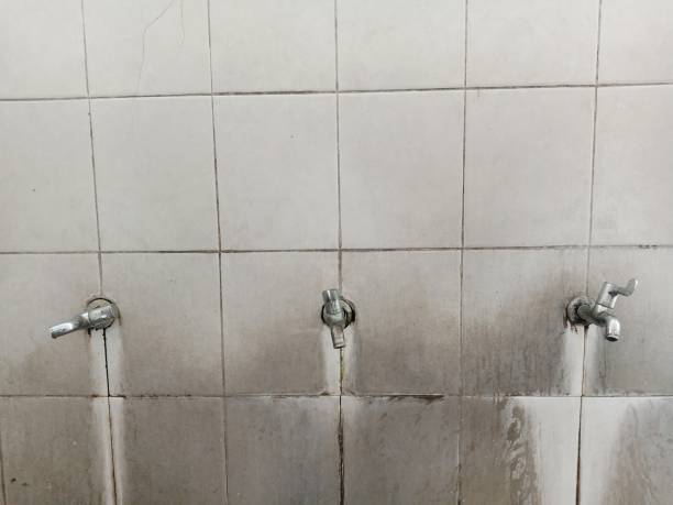 Best Residential water damage restoration  in Mount Rainier, MD