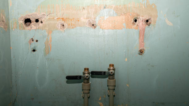 Best Flooded house restoration  in Mount Rainier, MD